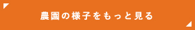 農園の様子をもっと見る